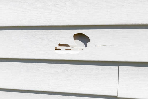 Best Historical Building Siding Restoration  in Ashville, AL