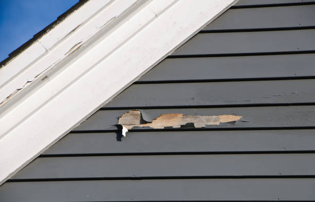 Best Composite Siding  in Ashville, AL