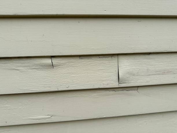 Professional Siding Installation & Repair in Ashville, AL